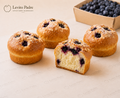 Blueberry Brioche